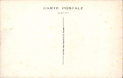 CPA Cite de Carcassonne Tour de l'Inquisition Perspective du chateau