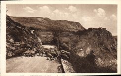 VINTAGE POSTCARD Gourdon Sheep