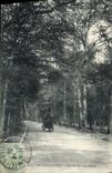VINTAGE POSTCARD Bois de Boulogne Road De Suresnes