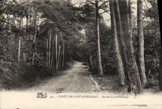 VINTAGE POSTCARD Drill De Fontainebleau Road Louis Philippe
