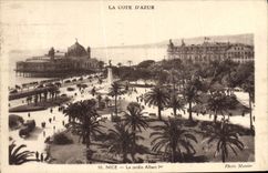 CPA Nice Le Jardin Albert 1er