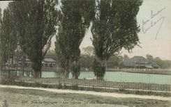 VINTAGE POSTCARD Paris Bois de Boulogne the Tir acacias with the pigeons Rings skaters