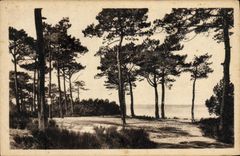 VINTAGE POSTCARD Arcachon Dimensions Money With the Park Of Abatilles