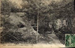 VINTAGE POSTCARD Acute Mount the Eye D' Argus