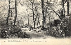 CPA Fontainebleau La Foret La Gorge Aux Loups