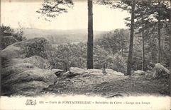 VINTAGE POSTCARD Foret De Fontainebleau Belvedere De Corot Gorges With the Wolves