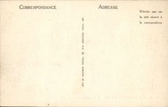 CPA Palais De Fontainebleau L'Etang Aux Carpes