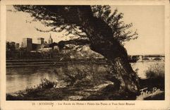 Bordes de Avignon de la POSTAL de la VENDIMIA del paladar de Rhone de los papas y del puente santo Benezet