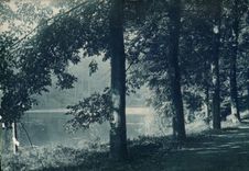 VINTAGE POSTCARD Wood