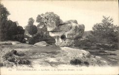 CPA Fontainebleau La Foret Le sphynx des druides