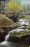 VINTAGE POSTCARD Paysage Cascades