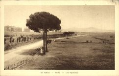 Acueductos de Roma de la POSTAL de la VENDIMIA