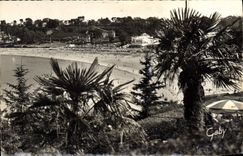 CPM Perros Guirec Plage de Trestraou