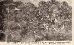 Paladar de Avignon de la POSTAL de la VENDIMIA de los papas Fresco de la torre del Pájaro-colector de Garderobe en las ramas