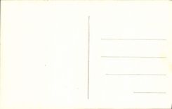 VINTAGE POSTCARD Vichy the Town hall