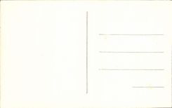 VINTAGE POSTCARD Vichy Percola Charles Letrosne Arch with the park of the Sources