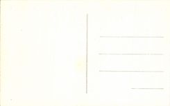 VINTAGE POSTCARD Vichy the palate of the sources