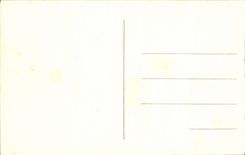 CPA Vichy Le Casino Vu Du Parc