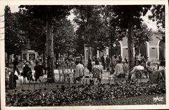 VINTAGE POSTCARD Vichy the Park