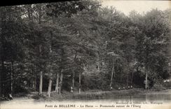 CPA Foret De Belleme La Herse Promenade autour de l'etang