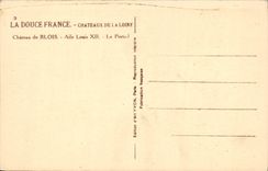 CPA La Douce France Chateaux De La Loire Blois Aile Louis XII Le portail