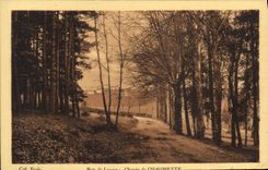 VINTAGE POSTCARD Way of Chaumette
