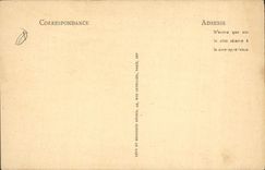 CPA Nimes L'Interieur Des Arenes