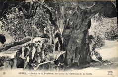 Jardín de Nimes de la POSTAL de la VENDIMIA de la fuente vista De I' Interieur de la cueva