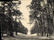 VINTAGE POSTCARD Arcachon the Drill
