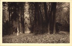 CPA Fontainebleau Allee Des Platanes