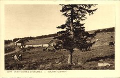 CPA Les Hautes Chaumes Gazon Martin 