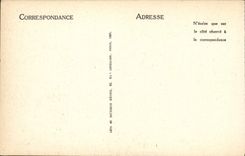 VINTAGE POSTCARD Dauphine Picturesque Low register and Meije