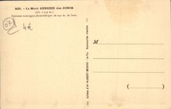 VINTAGE POSTCARD the Gerbier Mount Of the Snap rings Curious Phonolitic Mountain