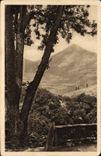 VINTAGE POSTCARD the Area Of the Cevennes the Valley De Besse And Juice De Sara