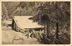 CPA Paysage D'Hiver Dans Les Alpes Maritimes