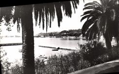 CPM Beaulieu Sur Mer Vue sur la mer et le Cap Ferrat
