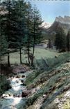 CPM Alpes Pittoresques Le Petit Ruisseau 