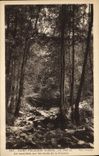 VINTAGE POSTCARD Holy Felicien under wood on the edges of Vivance