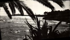 MODERN CARD Beaulieu On Sea Sunset on the Cape Ferrat and the walk Maurice Rouvier