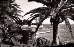 MODERN CARD Beaulieu On Sea the bay of the Ants