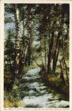 VINTAGE POSTCARD Beauvezer One of under wood Close the Verdon