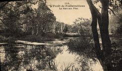 CPA Foret de Fontainebleau La mare aux fees