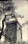 VINTAGE POSTCARD Spray Brown Tower