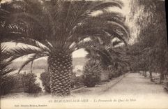 CPA Beaulieu Sur Mer La Promenade Du Quai Du Midi