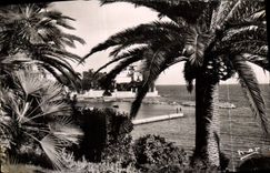 CPM Beaulieu Sur Mer La Baie Des Fourmis