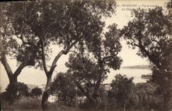 VINTAGE POSTCARD Beaulieu On Sea Seen through the olive-trees