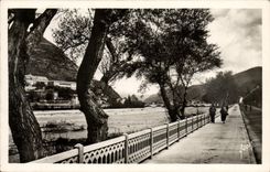 VINTAGE POSTCARD Worthy Bleone Gambetta Boulevard