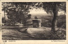 VINTAGE POSTCARD Nemours the Table Of Orientation