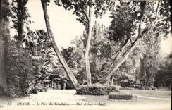 VINTAGE POSTCARD Meaux the Park Of Old Trinitaires tree
