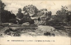 VINTAGE POSTCARD Palate De Fontainebleau the Drill the Sphinx Of the Druids